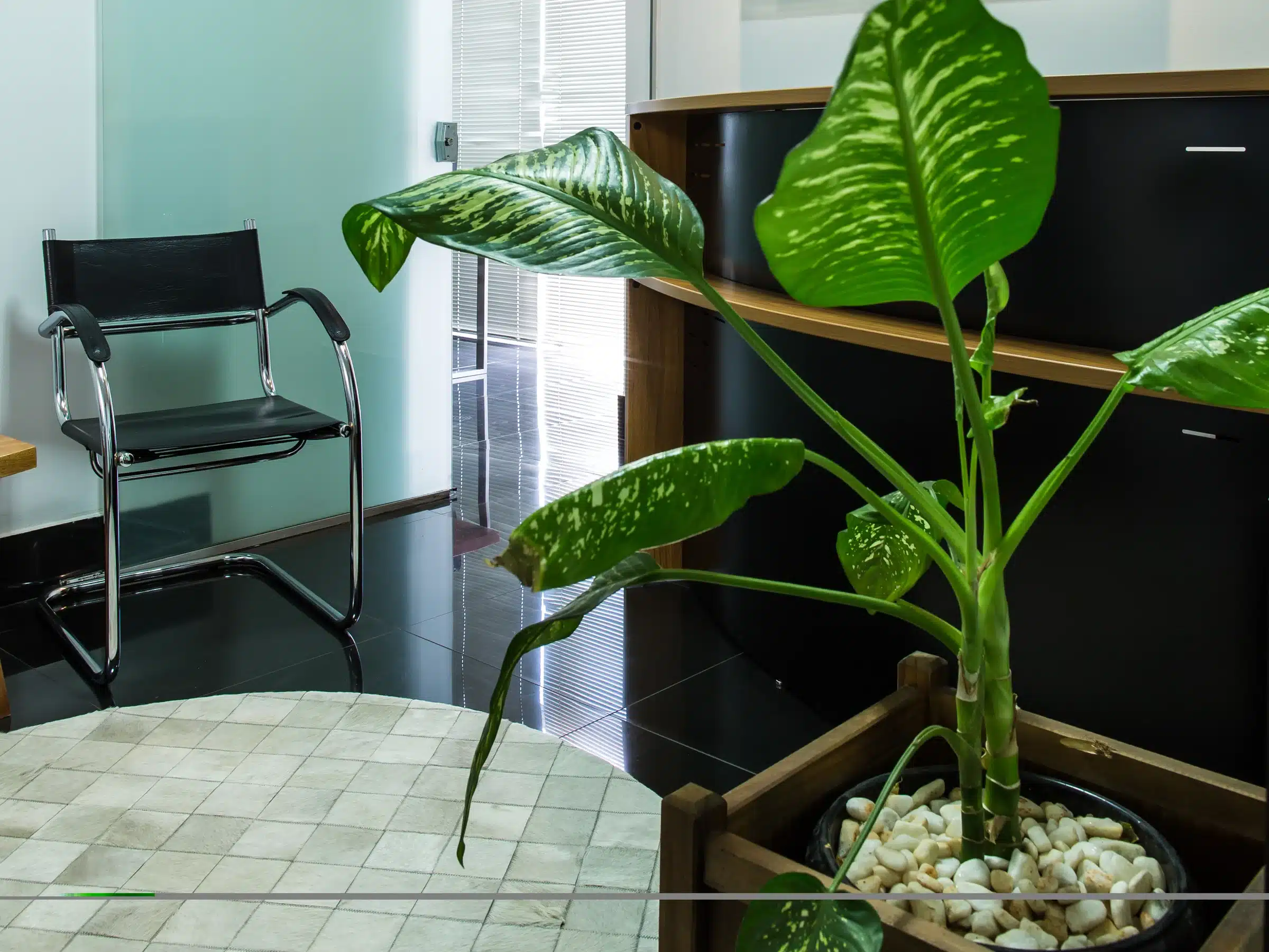 Recepção do escritório, com planta em primeiro plano, cadeira e balcão de atendimento.